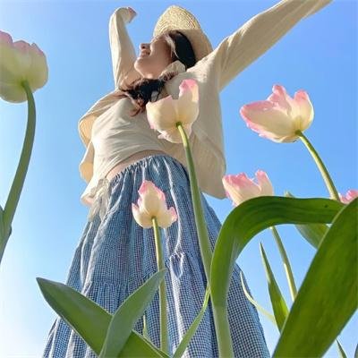 危险女婿