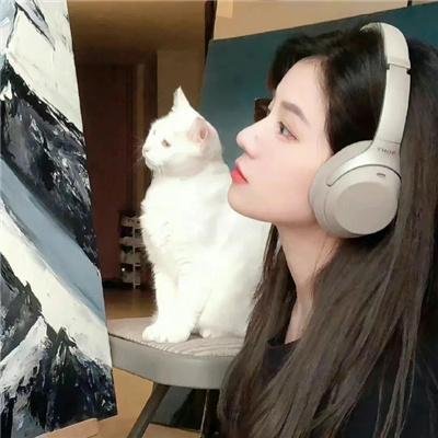噪乐江湖